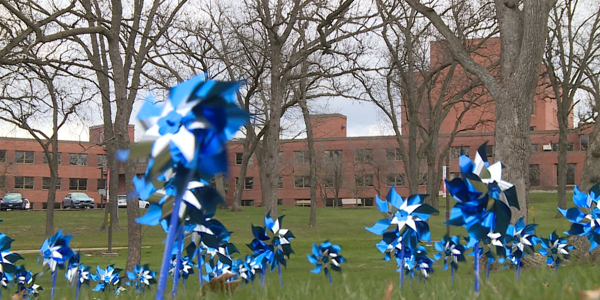 UIC College of Medicine Rockford recognizes kids in pinwheel ceremony