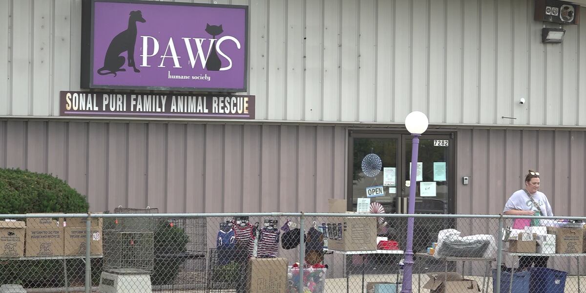 Paws Org Paws Humane Society stops cat intake, lowers adoption fees