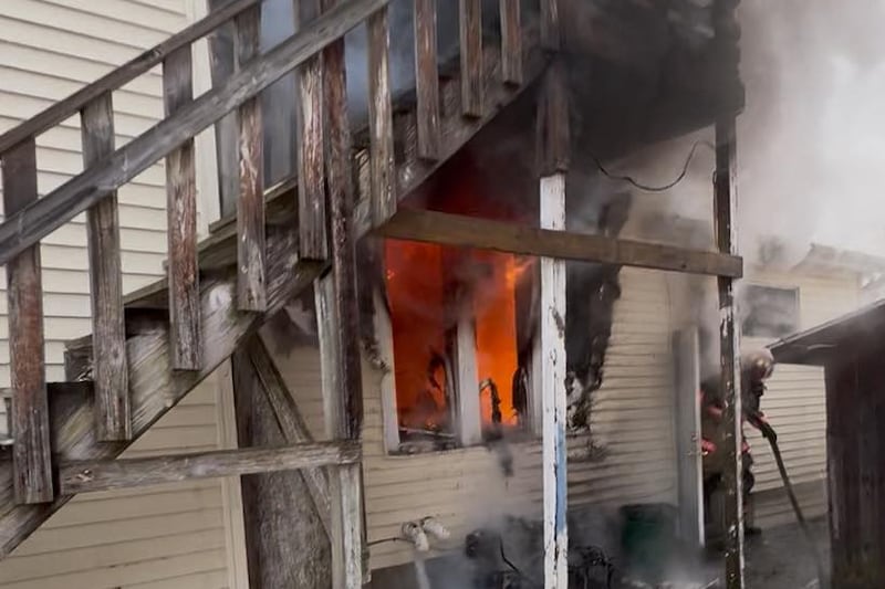 A fire in Rockford claims the lives of two dogs and injures a firefighter, Saturday morning.