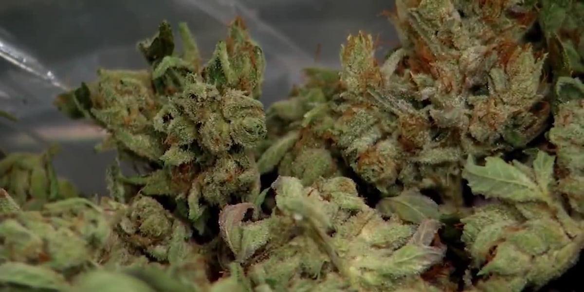Rockford leaders consider repurposing cannabis fee to prevent property tax hike