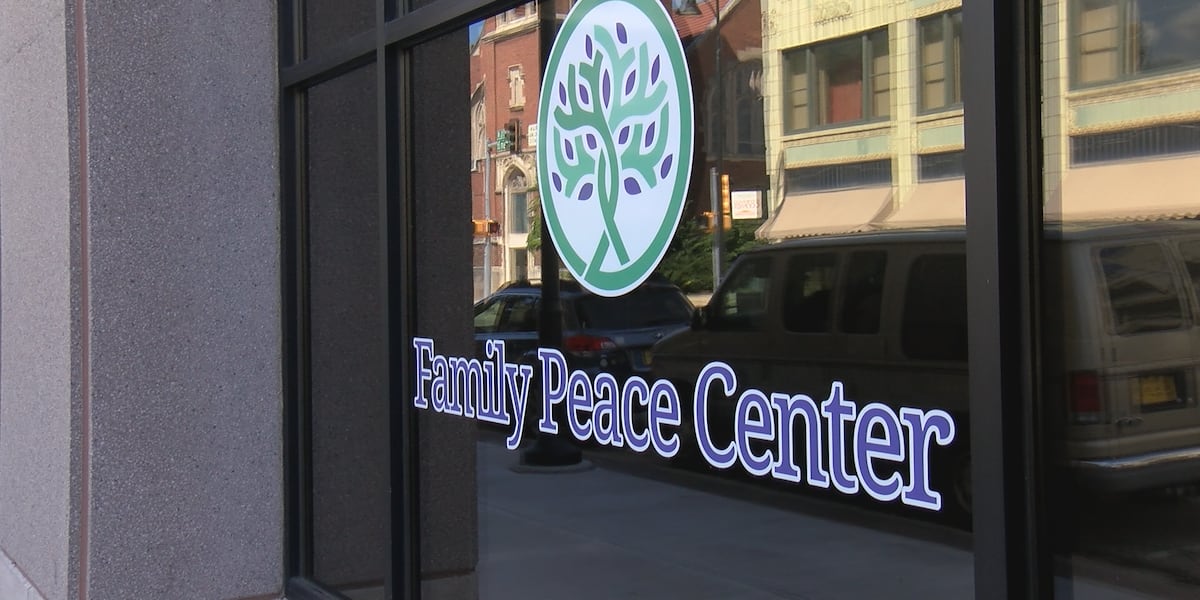 New Illinois law expands Rockford's domestic violence resource model statewide