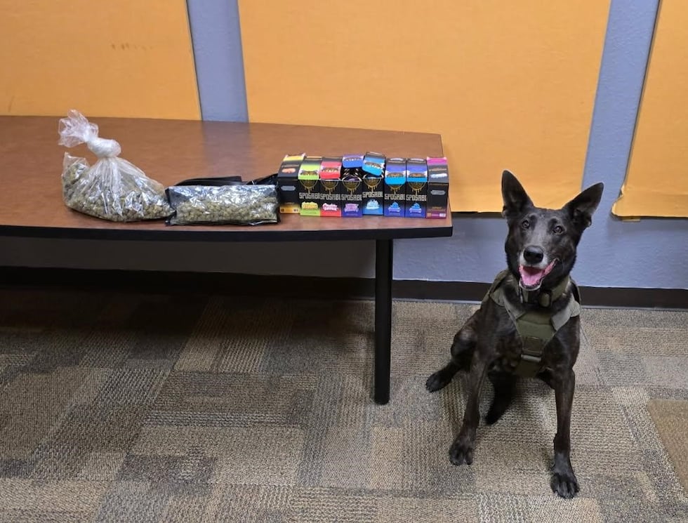 Belvidere police find cannabis, ammo after traffic stop