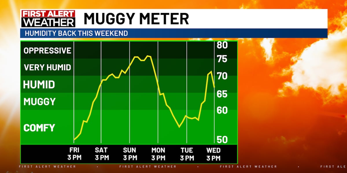 Cloudy start to the weekend with heat and humidity returning Sunday