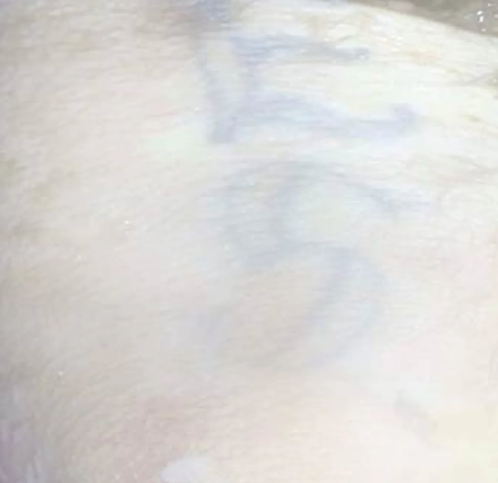 Illinois State Police hope distinctive tattoos will help identify a man whose remains were...