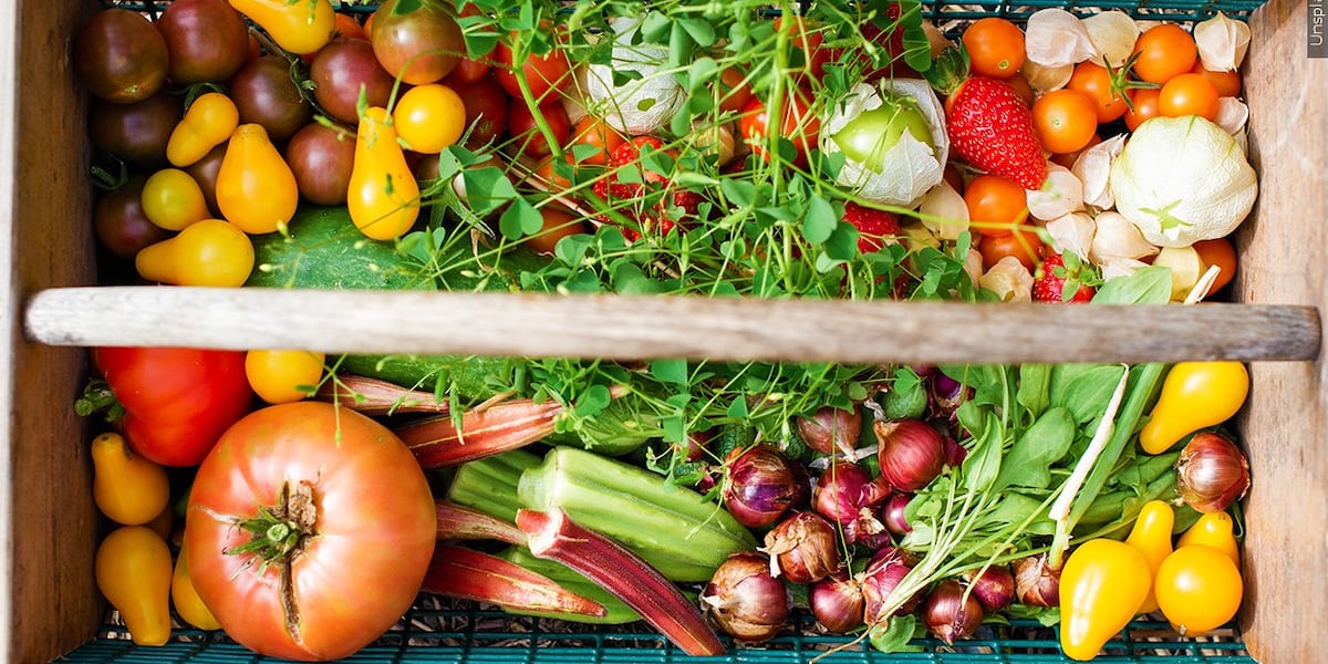 UW Health shares how diabetics should approach dietary changes UW Health shares how diabetics should approach dietary changes