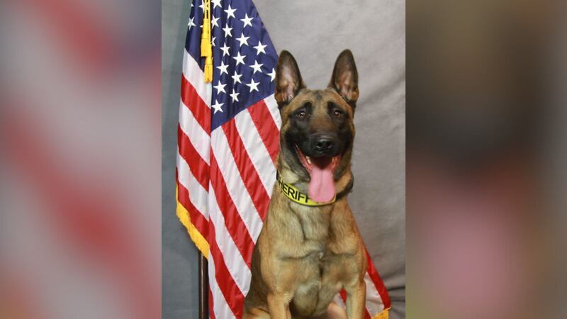 K-9 Dano died after suffering a medical emergency on Saturday, according to the sheriff's office.