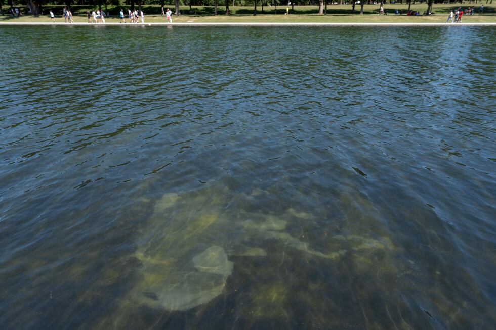 A peeling section of blue coating is seen in the Lincoln Memorial Reflecting Pool, Saturday,...