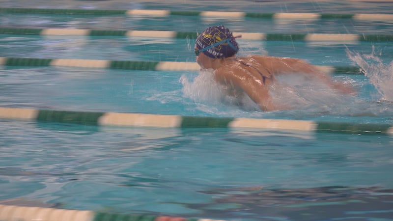 Some of the area’s best girls swimmers competed at the NIC-10 conference meet Saturday at the...