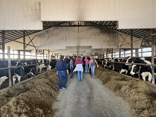 Medical students will become farmers for a day at University of Illinois College of...