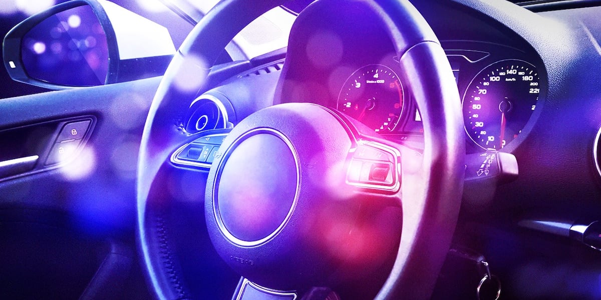 Rockford ranks second in most Illinois DUI arrests in 2024, survey shows Rockford ranks second in most Illinois DUI arrests in 2024, survey shows