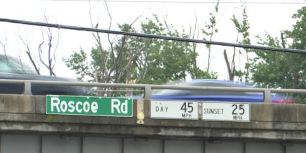 Village leaders hold community forum to prepare for Roscoe Road Bridge closure Police and fire department chiefs from Roscoe and Rockton gathered at Founders Park to discuss any public safety concerns.