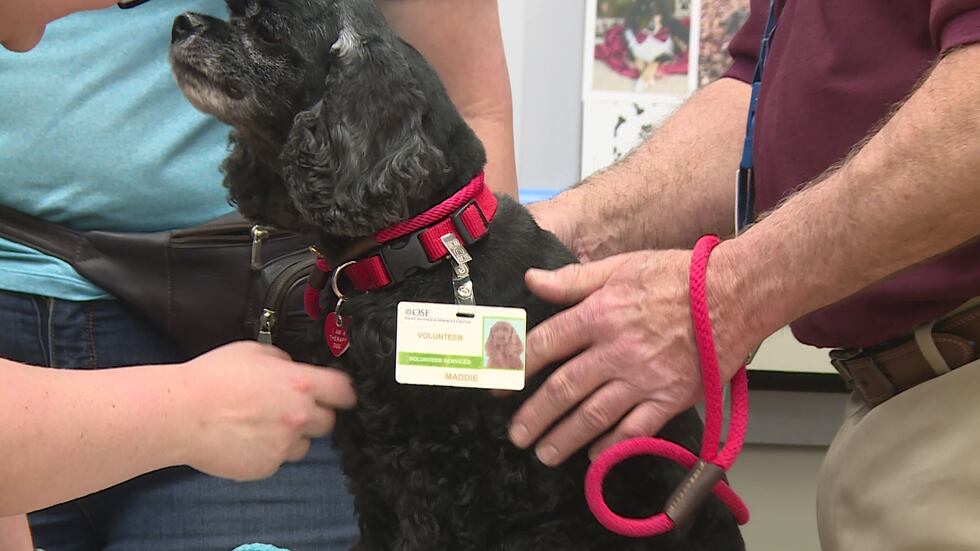 OSF HealthCare honors Animal-Assisted Therapy dogs, volunteers