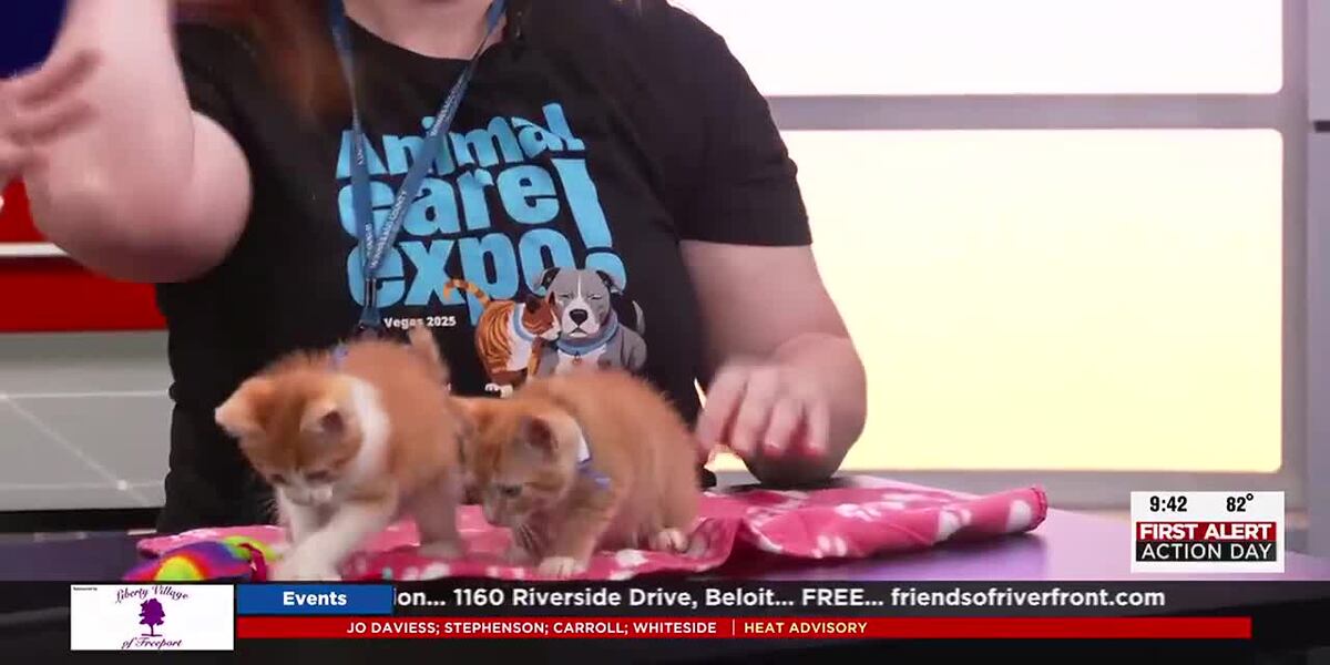 Pets of the week: Rigatoni & Ravioli