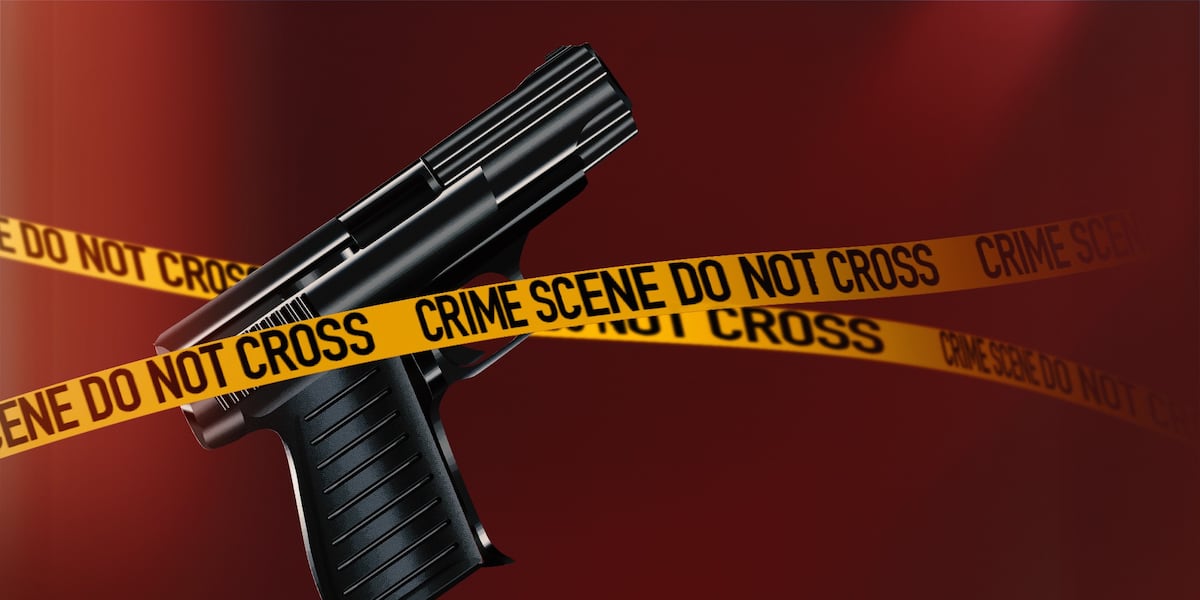 Shooting News Image