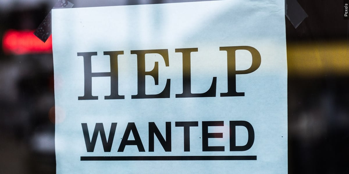 Study: 70% of Gen Z students confident about job market despite AI challenges