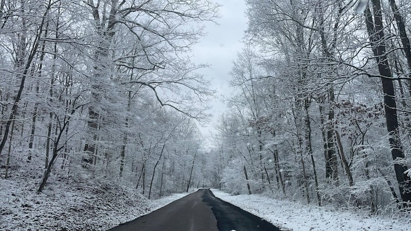 Snow covered trees along the road in Fleming, Ohio.