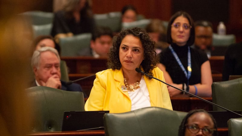 Rep. Lilian Jiménez speaks on the House floor during the October 2025 veto session.