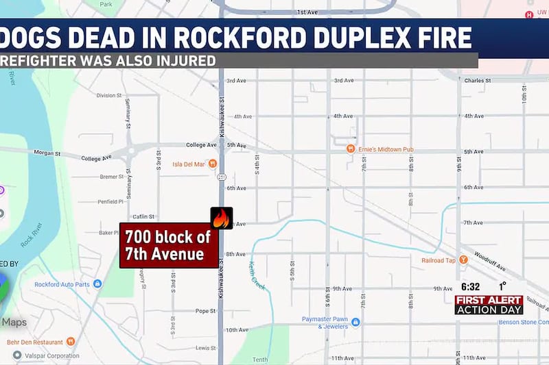 A fire in Rockford claims the lives of two dogs and injures a firefighter, Saturday morning.