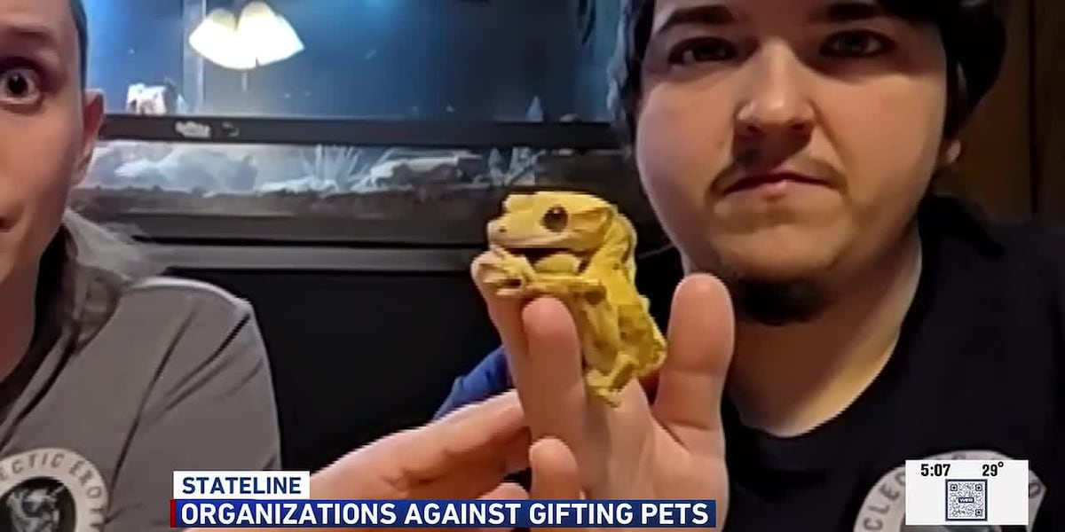 Stateline organizations advocate against gifting pets for holidays - WIFR